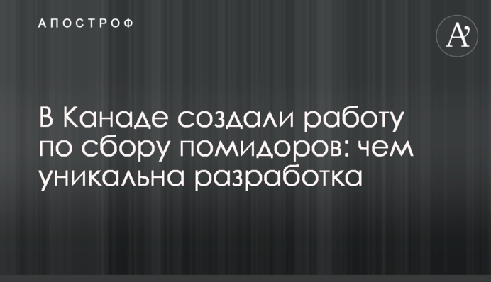 В Канаде создали робота по сбору помидоров: чем уникальна разработка