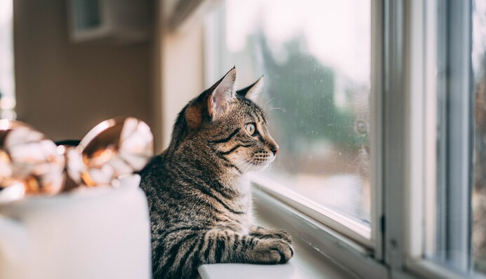 В Украине потеплеет, но местами пройдут дожди: прогноз на воскресенье