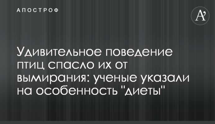 Удивительное поведение птиц спасло их от вымирания: ученые указали на особенность 