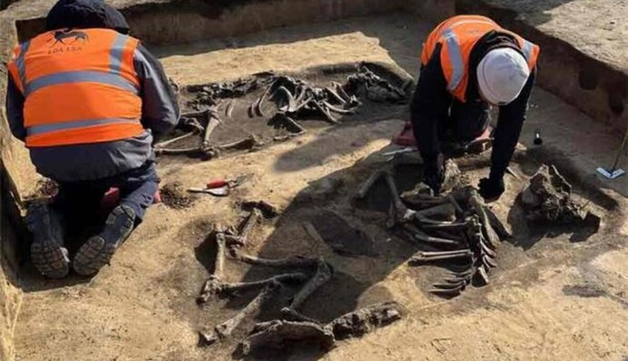 Ритуальними жертвами були худоба і люди: в Німеччині розкопали кургани віком 6 тисяч років, фото