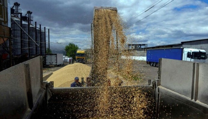 Не минуло й два роки: Євросоюз анонсував запровадження мита на зерно з Росії та Білорусі