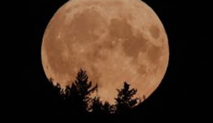 Червивий Місяць у березні: коли настане і яких переломних подій чекати