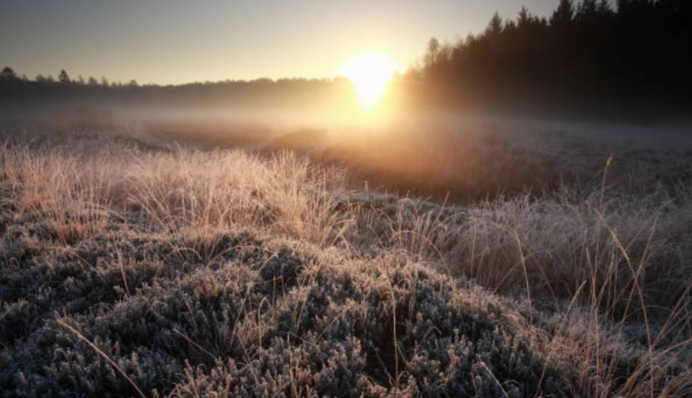 В части Украины ударят заморозки: объявлен повышенный уровень опасности