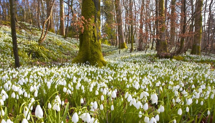 Тельці займуться фінансами, Скорпіонам знадобиться витримка: гороскоп на 21 березня для всіх знаків Зодіаку