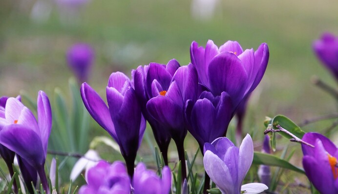 Чи буде решта весни теплою: прикмети до кінця березня