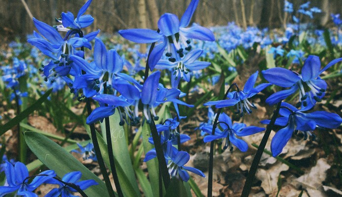 В Киеве столбик термометра ползет вверх: когда потеплеет до +17