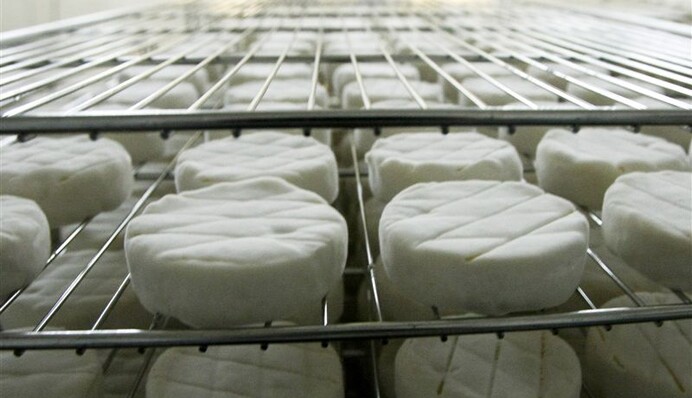 Крематории Путина: соцсети высмеяли уничтожение продуктов в России