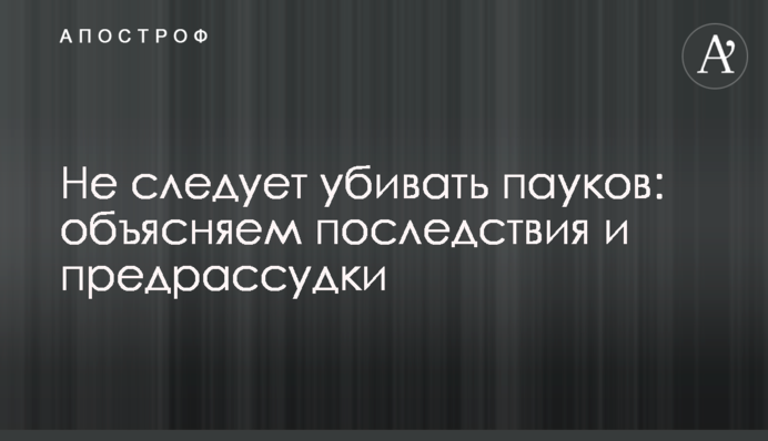 Не следует убивать пауков: объясняем последствия и предрассудки