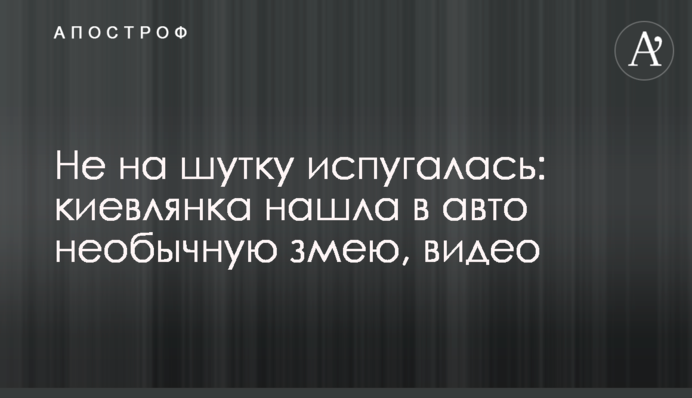 Не на шутку испугалась: киевлянка нашла в авто необычную змею, видео