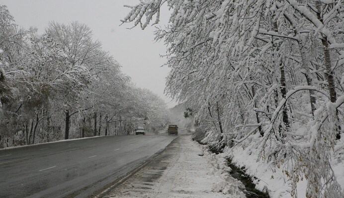 Украину в апреле засыплет снегом: даты снегопадов и карта