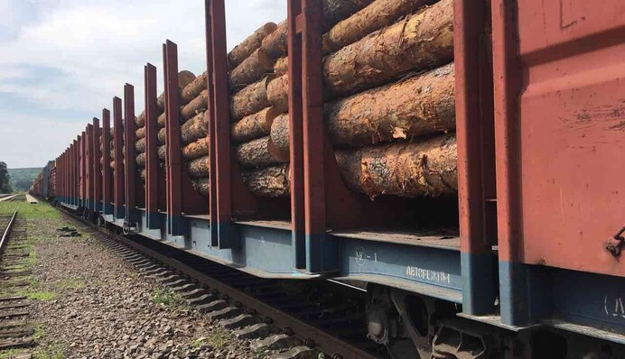 Poland allows Belarusian timber subject to sanctions into the EU, passing it off as Kazakh