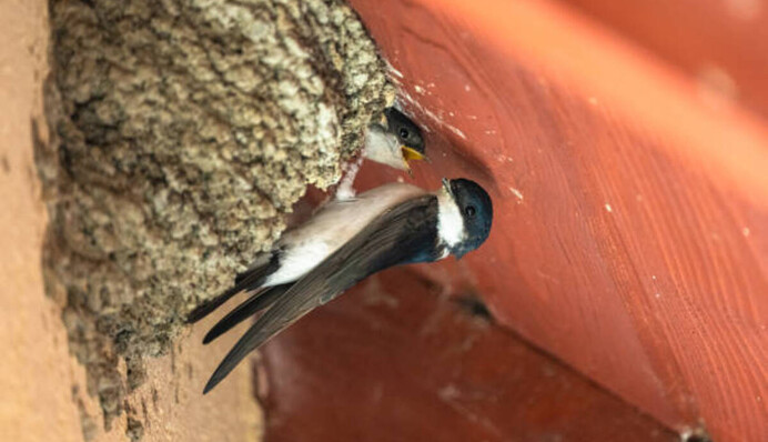 Дорогі покупки відкладіть на інший день: яке свято 28 березня і що не можна робити