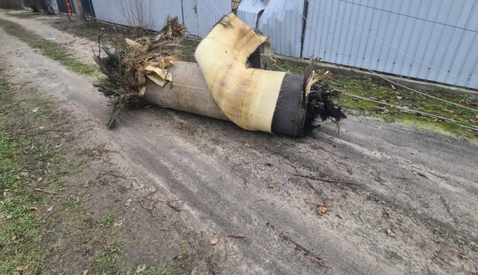 Что не так с расхваленной Путиным ракетой 