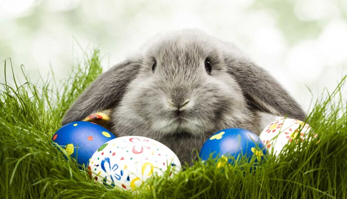 Католики святкують Великдень: душевні привітання і милі листівки зі святом