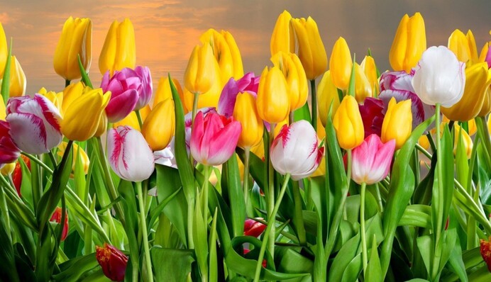 В останній день березня в Україну прийде літо: де очікується аномальне тепло