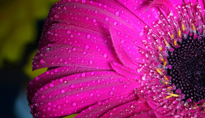 Очікується невеликий дощ: синоптик дала прогноз на 1 квітня