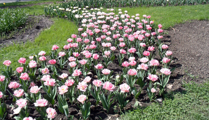 Апрель придет с летним теплом: где будет наиболее жарко