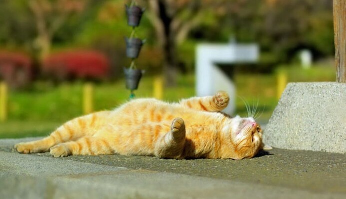 Вошел в 15-ку самых теплых: метеорологи рассказали, каким был март