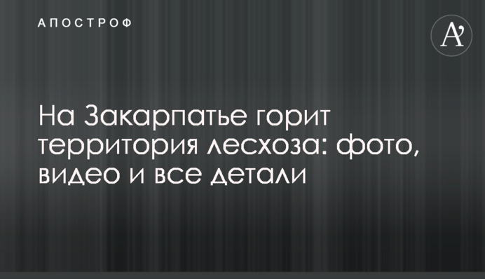 На Закарпатті палає територія лісгоспу: фото, відео і всі деталі