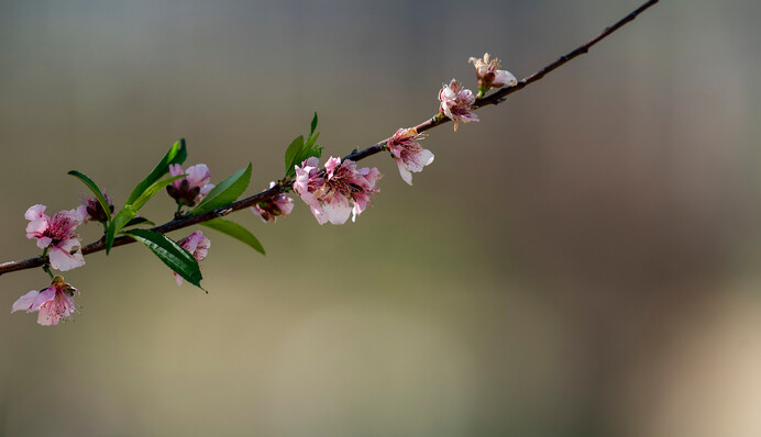 Часть Украины зальет дождями, остальную часть прогреет до +26: прогноз на вторник