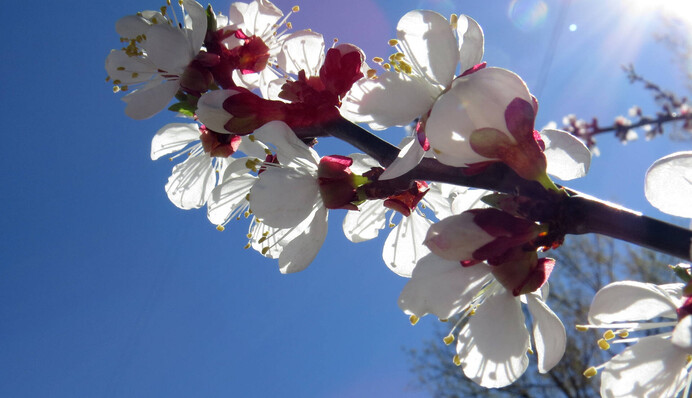 Meteorologists predict an abnormal April - we'll have to revise the norms