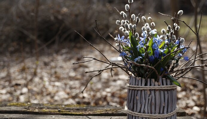 Вербна неділя 2024: на яку дату випадає і як підготуватись до свята
