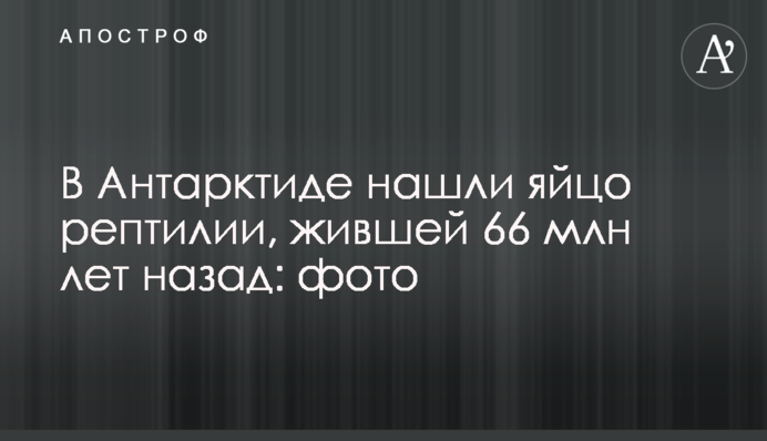 В Антарктиде нашли яйцо рептилии, жившей 66 млн лет назад: фото