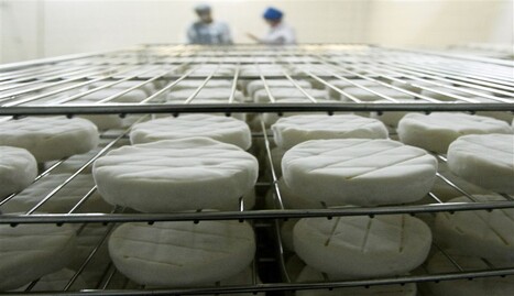 ​Путин против еды: в России подсчитали количество уничтоженных продуктов