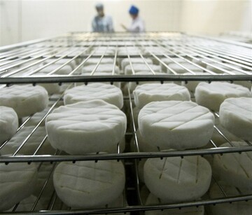 В РФ назвали главную причину, по которой Путин решил уничтожать продукты