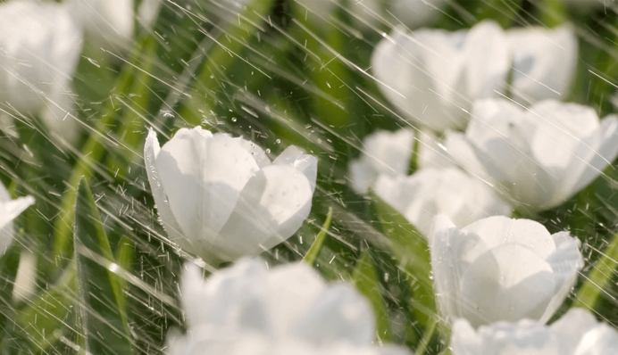 Україну чекають дощі зі снігом і нове потепління