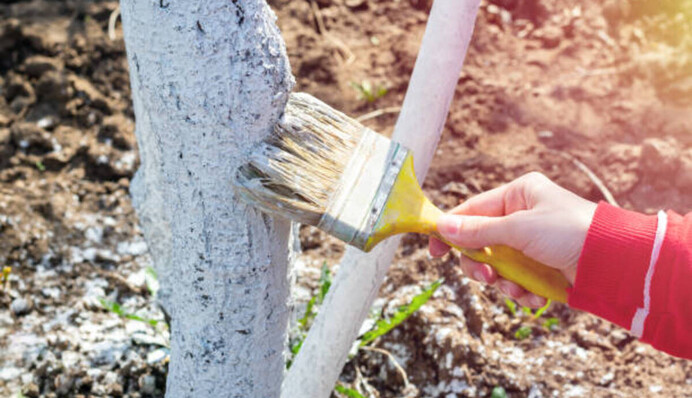 Батьківська поминальна субота: традиції, заборони та прикмети 6 квітня