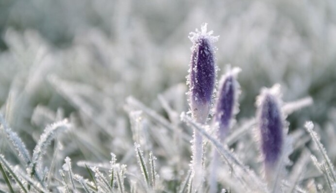 До України ненадовго повертаються морози: синоптик назвала дату