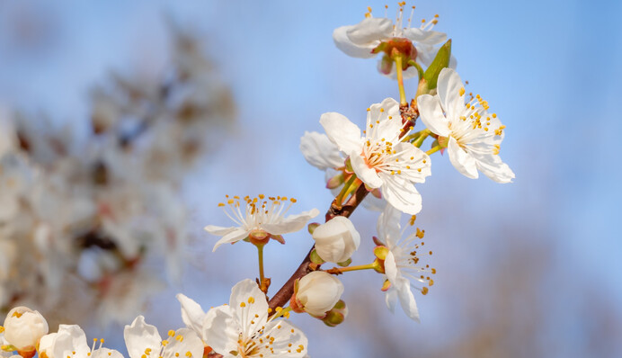 Украину прогреет до +22, ожидаются небольшие дожди: прогноз синоптиков на воскресенье