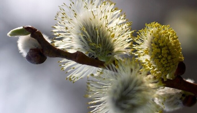 В Україну йде майже літня спека і нова хвиля похолодання: коли чекати +26