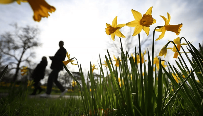 Розкішна весняна погода: синоптики розповіли, яким буде вівторок