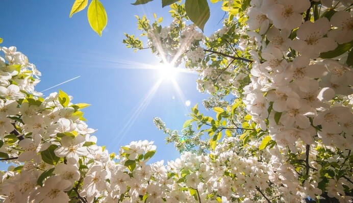 Любуйтесь плоскими облачками: синоптик рассказала, каких капризов ждать от погоды в среду