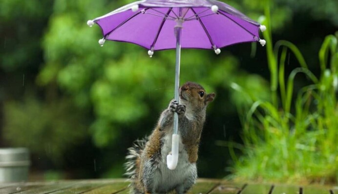Апрель порадует теплом и принесет грозовой 