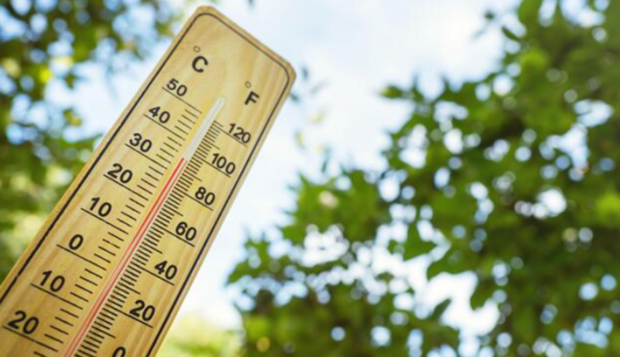 На 12 градусов выше нормы: на Киевщине зафиксировали новые температурные рекорды