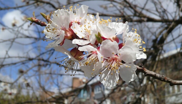 В частину України прийде справжнє літо:  що чекати від погоди у п’ятницю