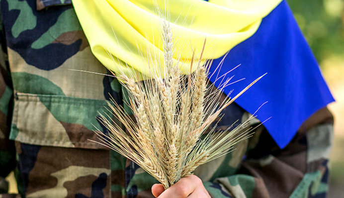 Скільки чоловіків готові служити за новим законом: опитування