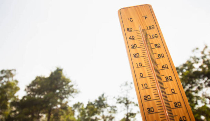 Аномальное тепло: какие температурные рекорды зафиксировали на Киевщине