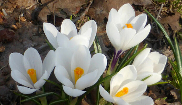 Если день теплый – жди похолодания: что отмечаем 14 апреля