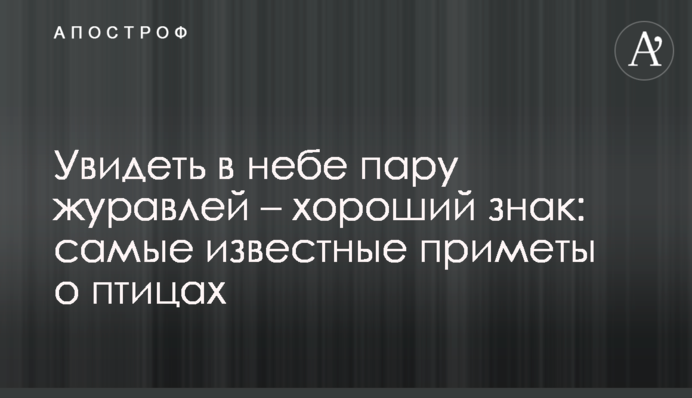 Побачити в небі пару журавлів – гарний знак: найвідоміші прикмети про птахів
