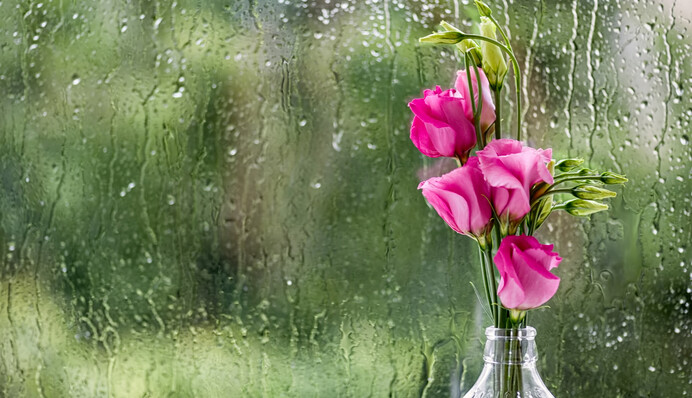 Неделя начнется с похолодания, почти всю страну накроют дожди и грозы