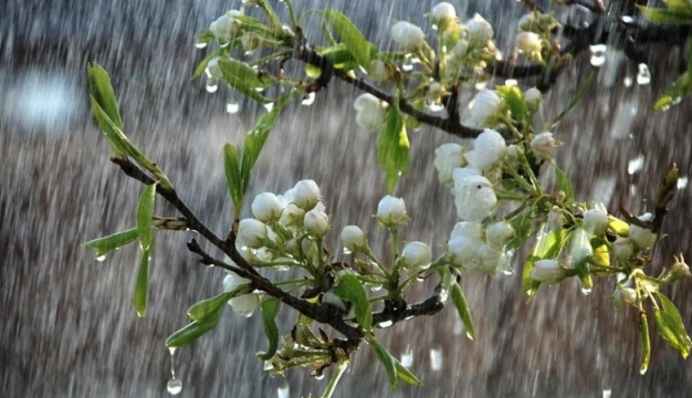 Весна дошла до пика и повернула на зиму: какие сюрпризы готовит погода