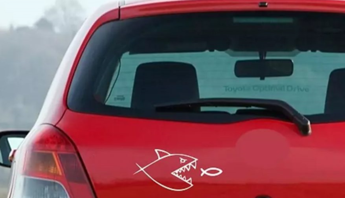 Изображение акулы на авто: что означает символ и зачем наклеивают