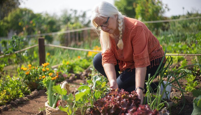 Великдень 2024: що треба посадити та посіяти до свята