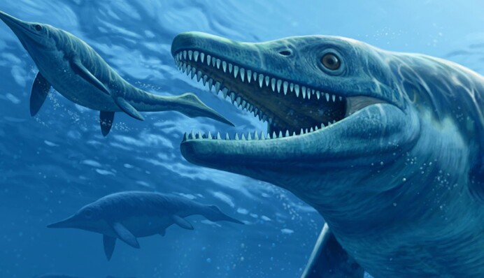 У Британії знайшли останки морського динозавра розміром з 8-поверховий будинок