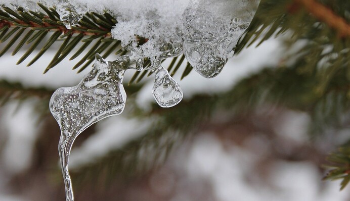 Снег будет не только в Карпатах: куда еще в Украину придет 