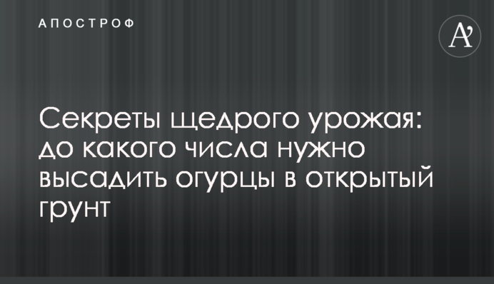 Секрети щедрого врожаю: до якого числа треба висадити огірки у відкрий ґрунт